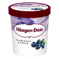Häagen-Dazs  jégkrém 460ml Kékáfonya&krém